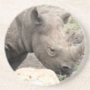 Suche nach nashörner untersetzer Zoo