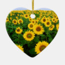 Recherche de de tournesol ornements Champ