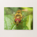 Suche nach honigbienen puzzle Foto
