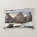 Recherche de morse coussins Faune
