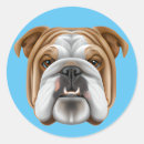 Suche nach bulldog aufkleber Kaninchen