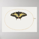 Recherche de illustration papillon posters Papillons
