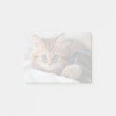 Suche nach mit augen post it Hauskatze
