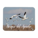 Suche nach aachen magnete Tier