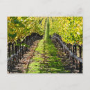 Suche nach napa valley postkarten Weingut