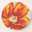 Recherche de perroquet dessous de verres Floral