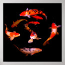 Suche nach koi arten poster Leinwand