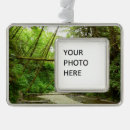 Suche nach farne ornamente Landschaft