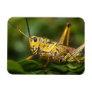 Suche nach florida everglades magnete Nationalpark