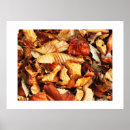 Suche nach herbstblätter poster Braun