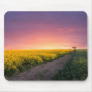 Suche nach rosa himmel mousepads Landschaft