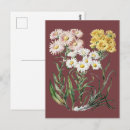 Suche nach zeeland poster Blume