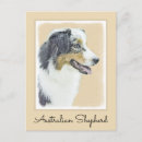 Suche nach australian shepherd postkarten Australisch