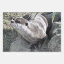 Suche nach niedlicher otter geschenkpapier Tiere