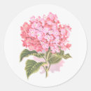 Recherche de belle illustration de fleurs autocollants Beau