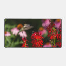 Suche nach roter kardinal mousepads Wild