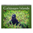 Recherche de tortue calendriers Iguane