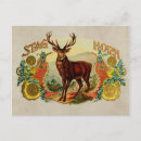 Recherche de stades cartes postales Nature