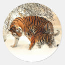 Suche nach tiger aufkleber Wildtiere