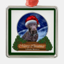 Suche nach schokoladen labrador ornamente Urlaub