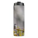 Recherche de arbuste tasses Jardin