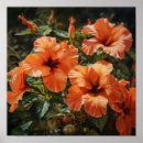 Recherche de flower posters Pour tous