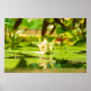 Recherche de étang art Fleur