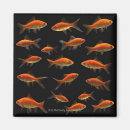 Recherche de poisson rouge magnets Noir