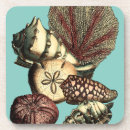 Recherche de coral dessous de verres Mer