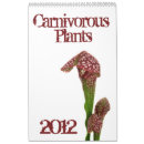 Suche nach pflanzen kalender Blume