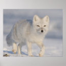 Recherche de climate change posters Environment