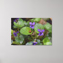 Suche nach viola kunst Blume