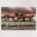 Recherche de cheval puzzles Océan