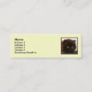 Suche nach persische visitenkarten Katze