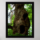 Suche nach grüne eule poster Baum