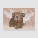 Recherche de agouti Caverne