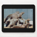 Suche nach präriehund mousepads Tier