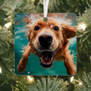 Suche nach unterwasser ornamente Anpassbare hunde produkte