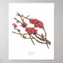 Suche nach philippinische poster Filipino