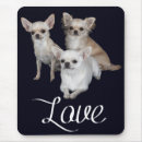 Suche nach chihuahua hund mousepads Chiwawa