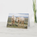 Suche nach wilde pferde karten Ranch