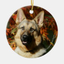 Suche nach herbst blätter ornamente Hund