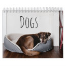Suche nach hunde kalender Corgi