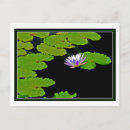 Recherche de tapis cartes postales Violet