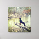 Recherche de hound art Nature