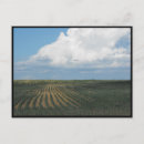 Recherche de cour cartes postales Vacances