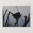 Suche nach rotkehlchen postkarten Vogel