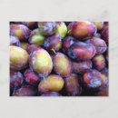 Recherche de fruit prune cartes postales Prunes