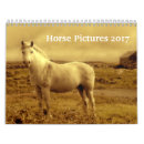 Suche nach pferdeartig kalender Reiten