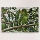 Suche nach parrot puzzle Tropisch